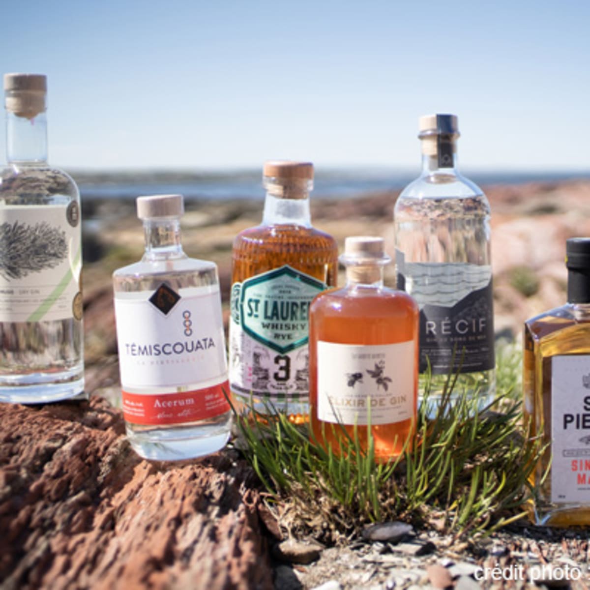 distillerie_des_marigots_1