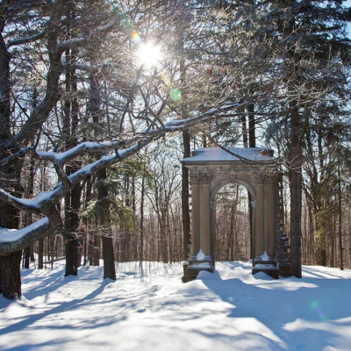 domaine_mackenzie_king_10