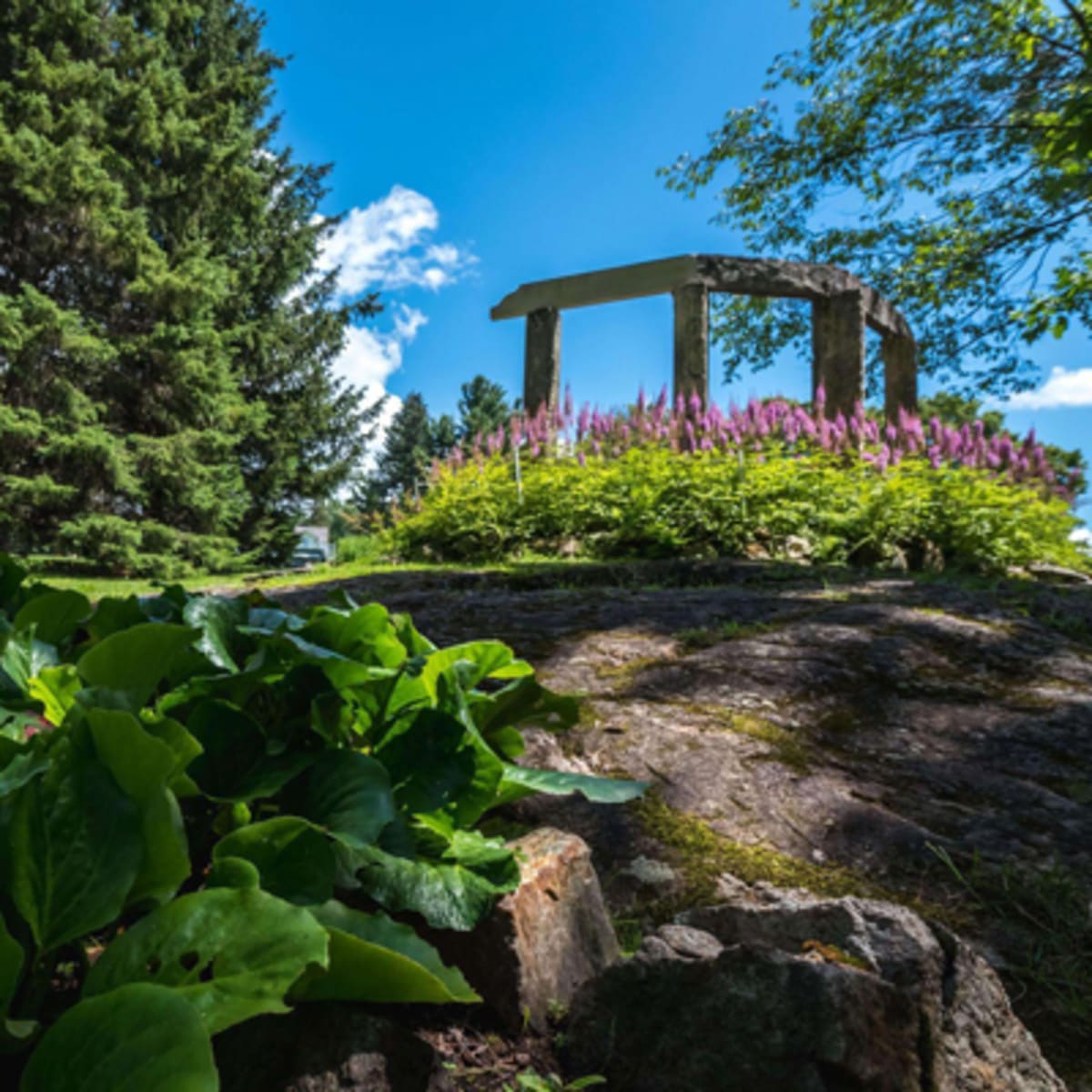 domaine_mackenzie_king_3