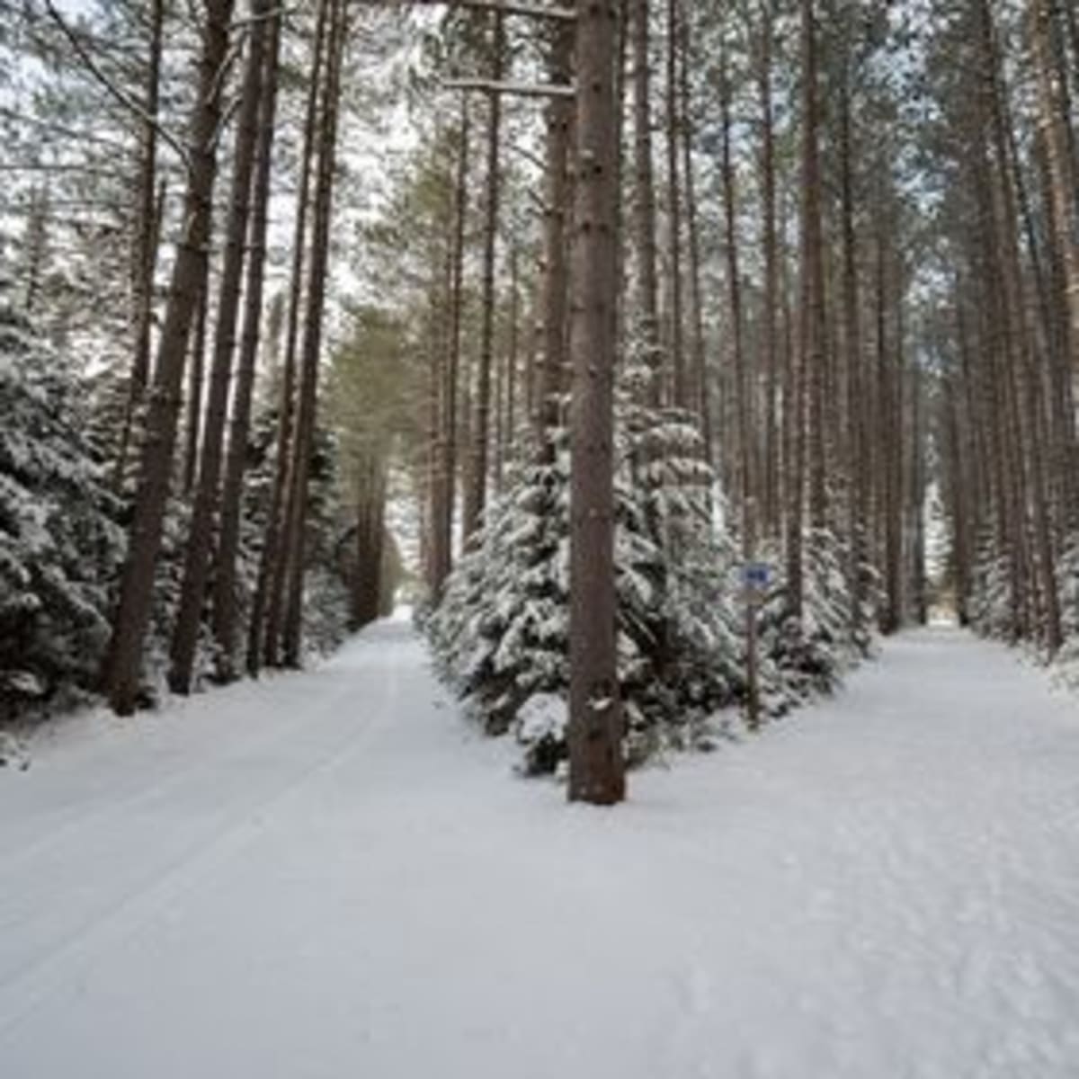 domaine_saint_bernard_5_h