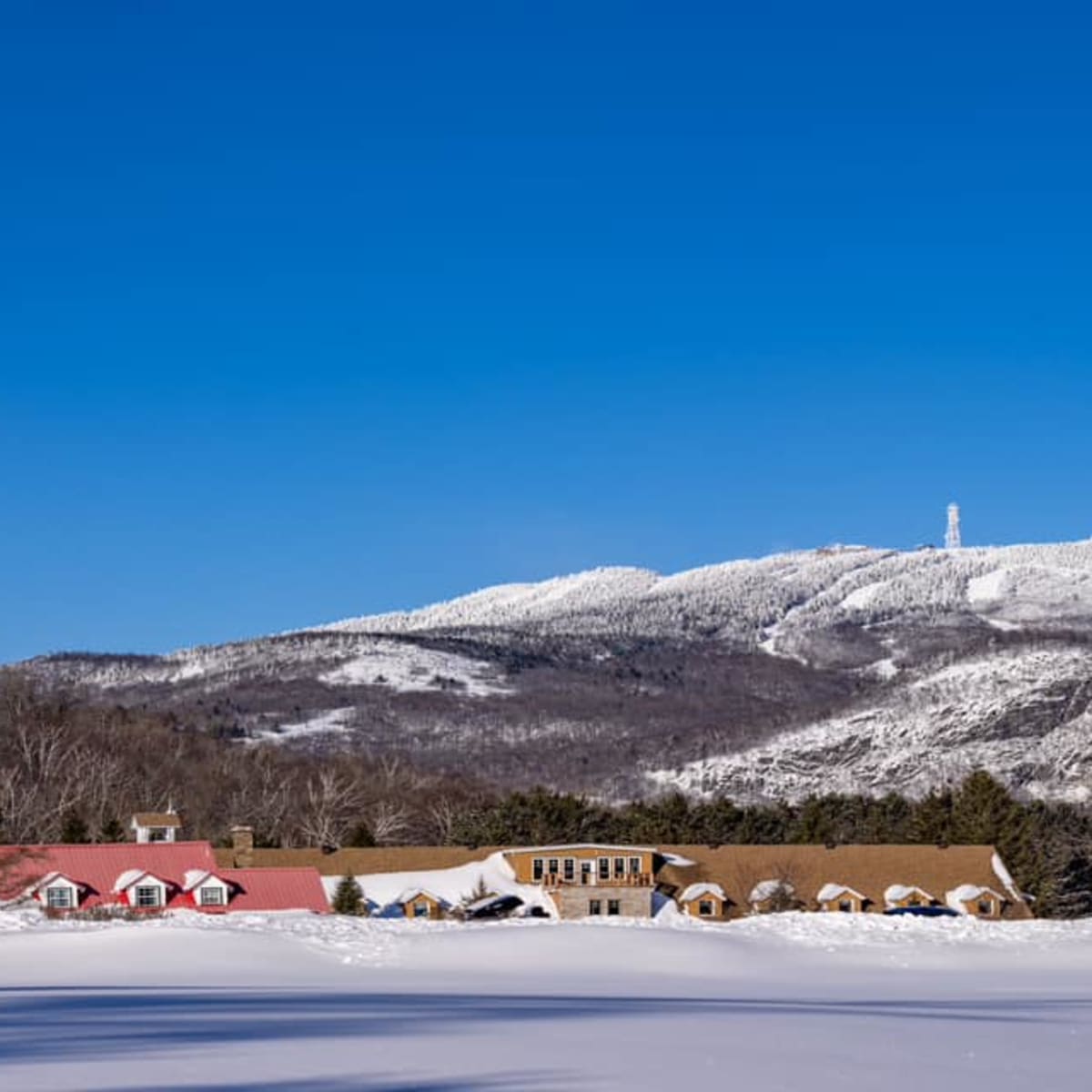 domaine_saint_bernard_7_h