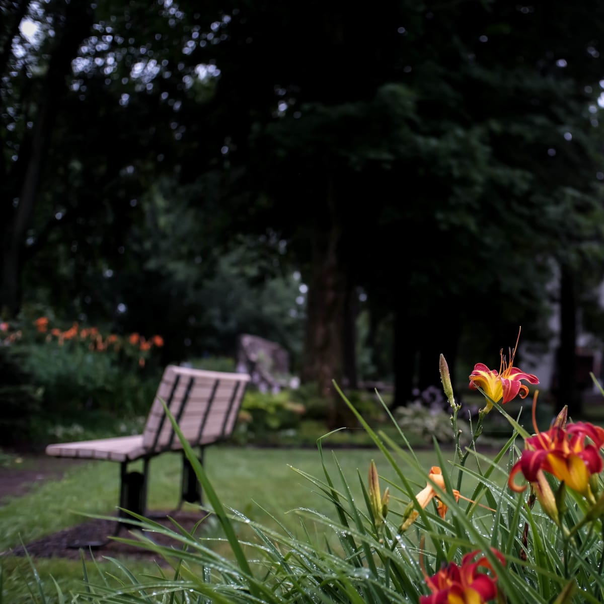 domaine_seigneurial_sainte_anne_4