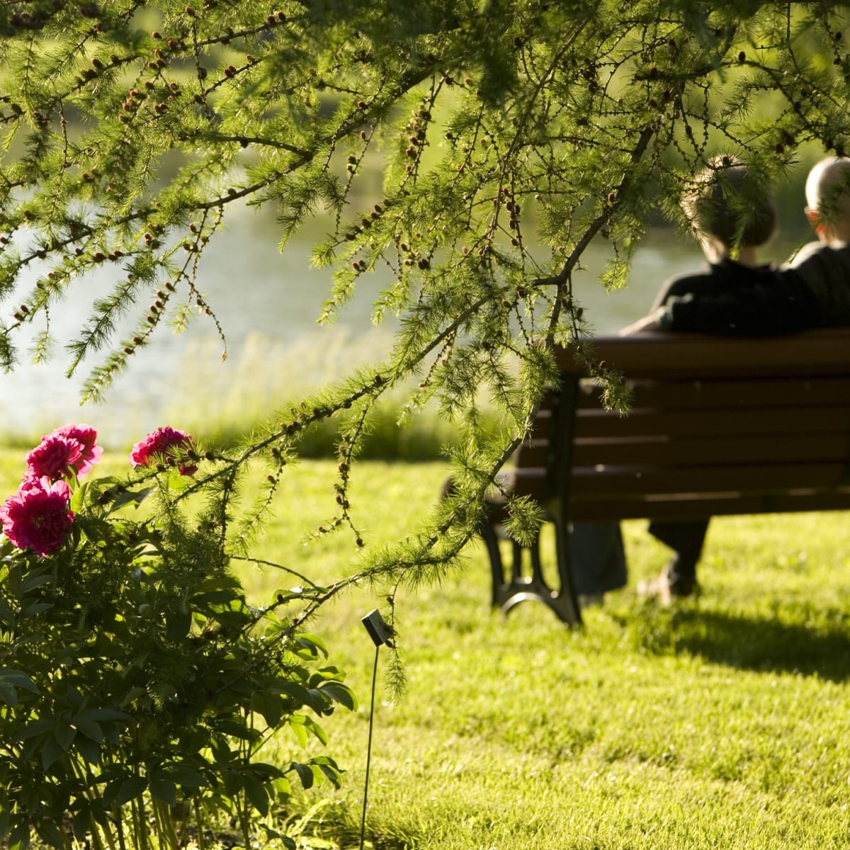 espace_pour_la_vie__jardin_botanique_de_montreal_10