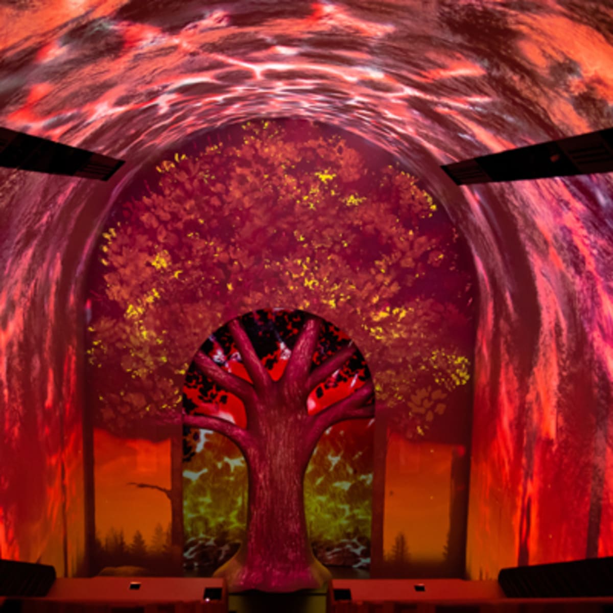 experience_immersive_origine_6