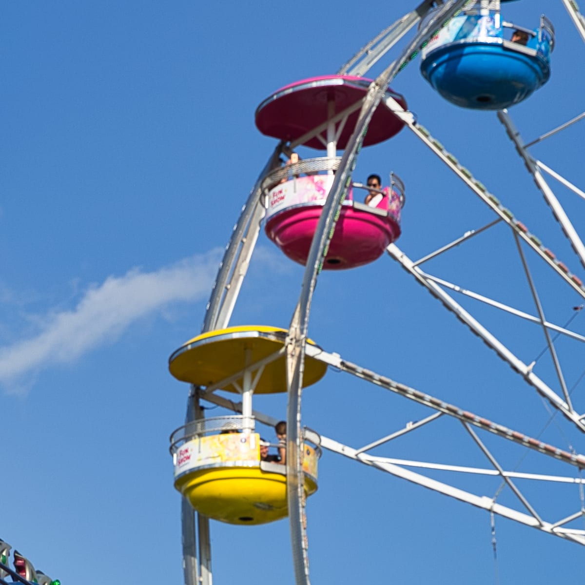 expo_brome_fair_1