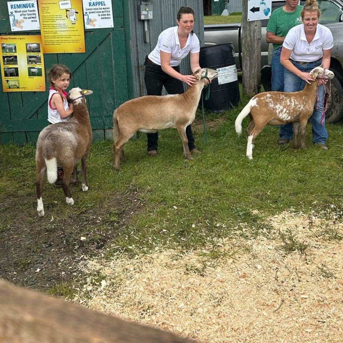 exposition_agricole_cookshire_1