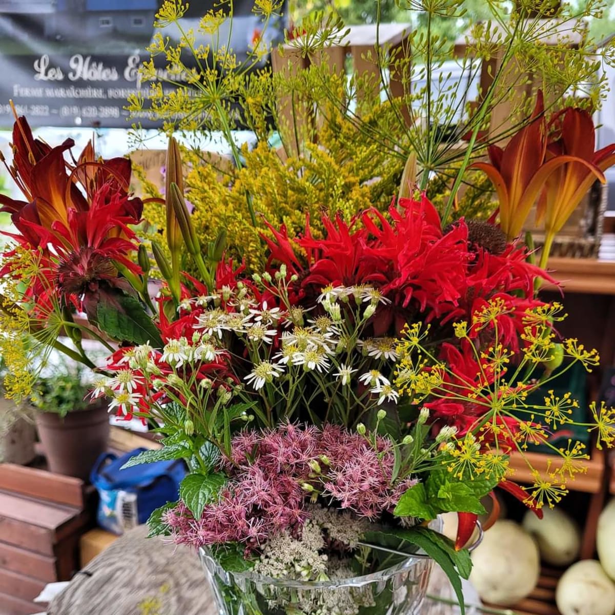 exposition_agricole_cookshire_5