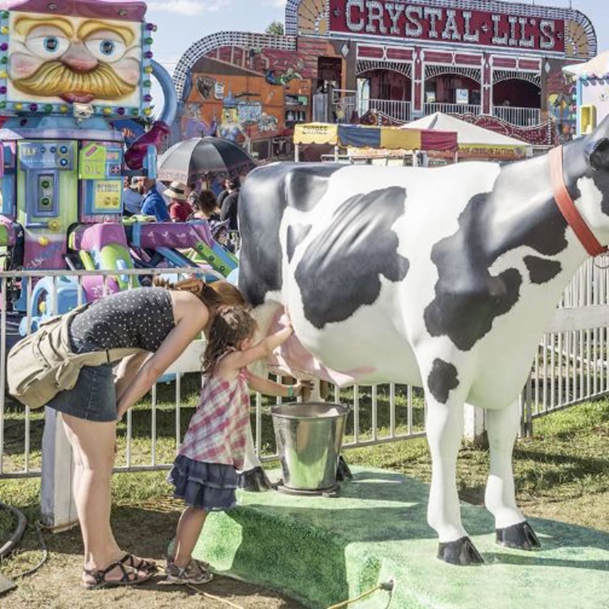 exposition_agricole_dayers_cliff_2