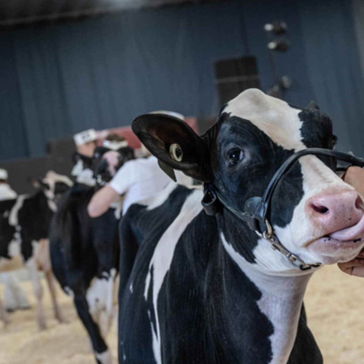 exposition_agricole_de_la_mrc_de_becancour_2