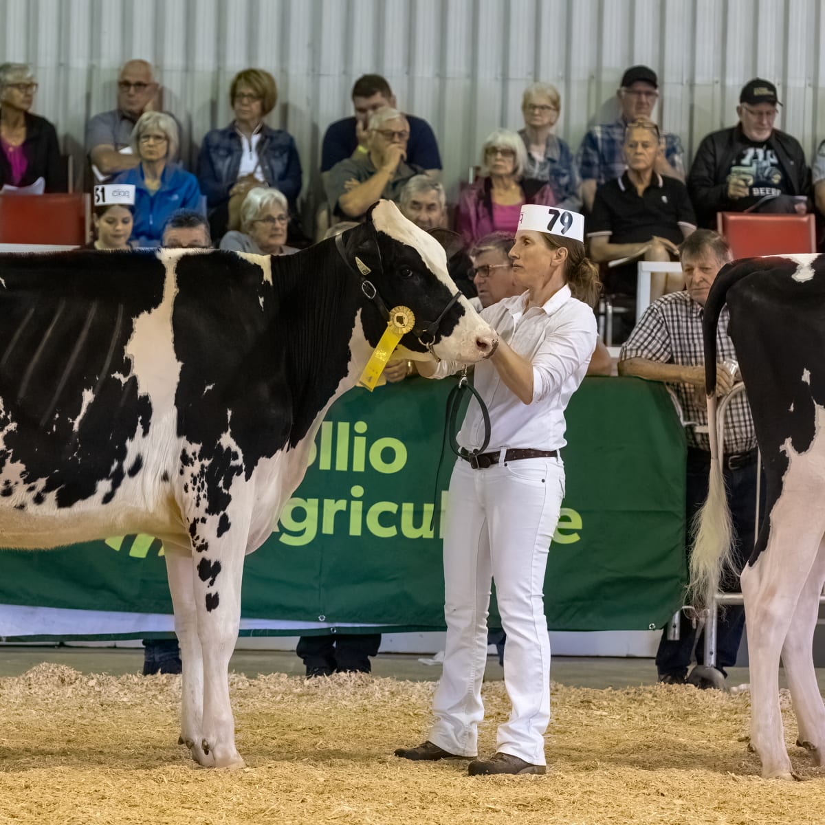 exposition_agricole_de_rimouski_3