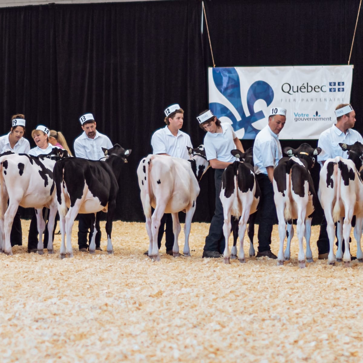 exposition_agricole_de_victoriaville_2