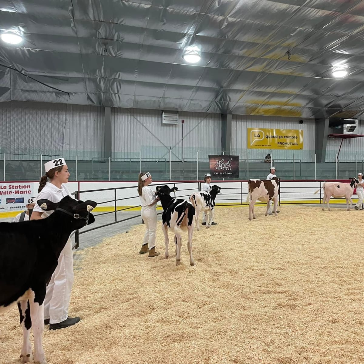 exposition_agricole_du_temiscamingue_2
