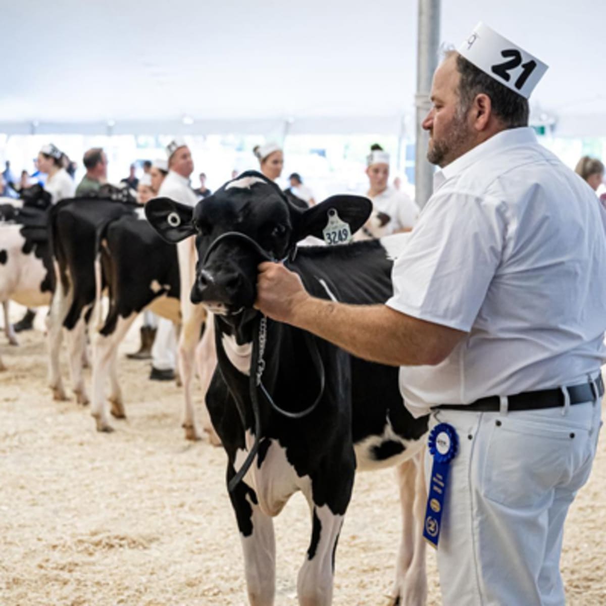 exposition_agricole_regionale_rive_nord_1