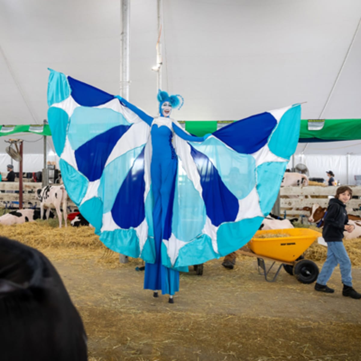 exposition_agricole_regionale_rive_nord_3