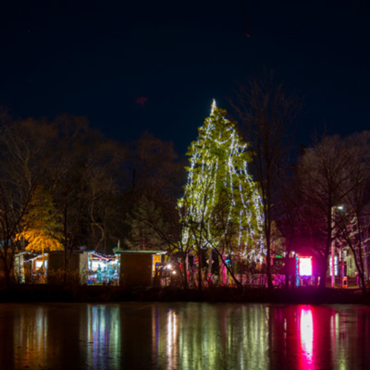 feerie_au_lac_du_village_10