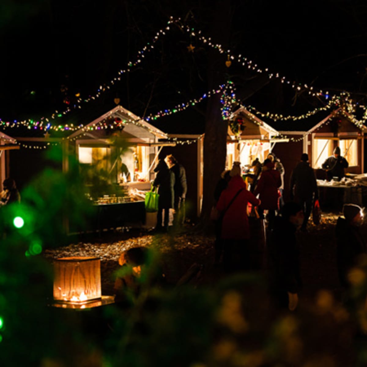 feerie_au_lac_du_village_7