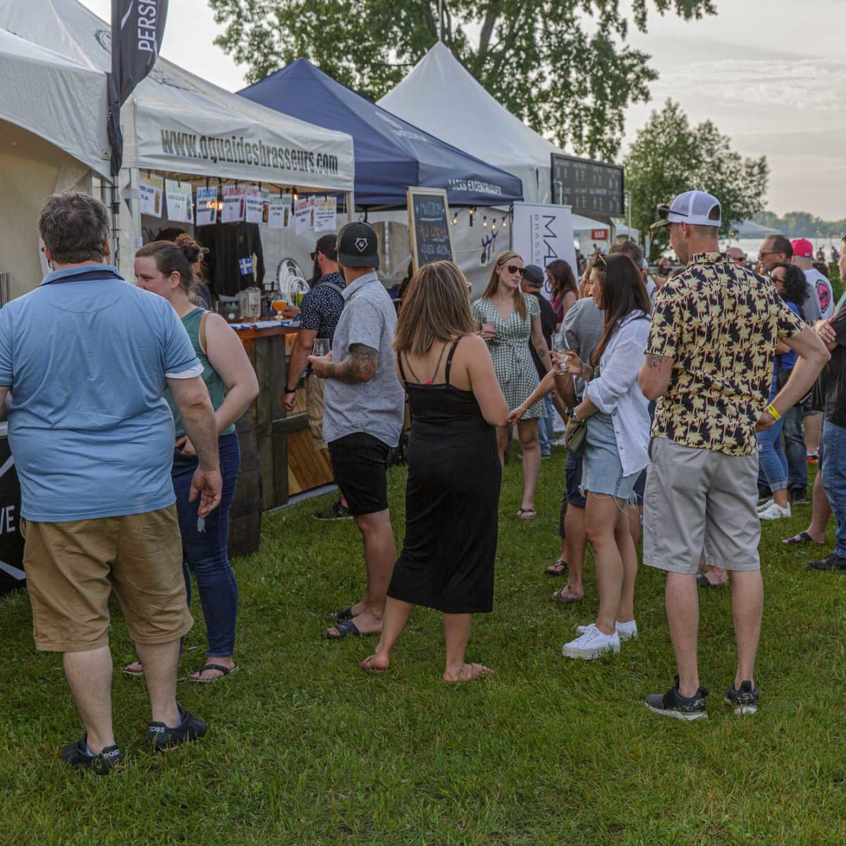 festival_bieres_vins__terroir_5