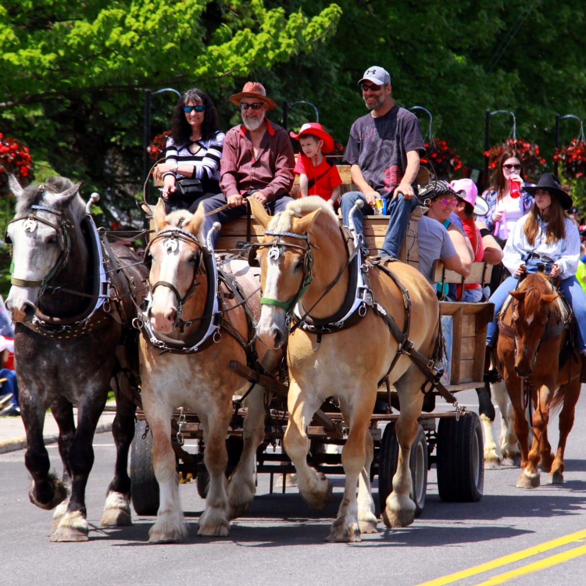 festival_du_cheval_de_princeville_1