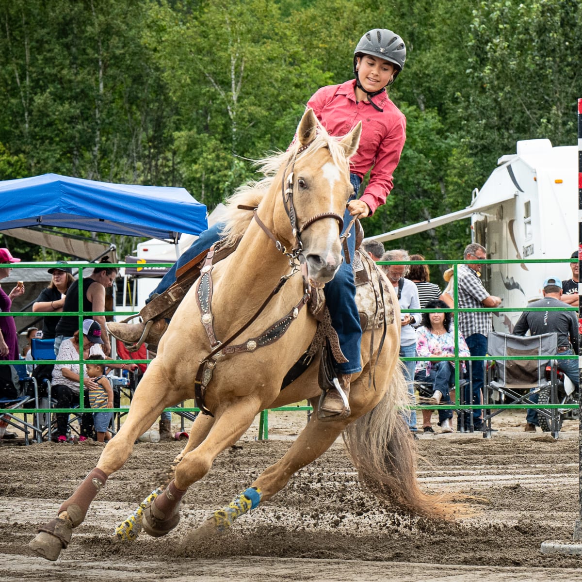 festival_gymkhana_de_falardeau_1