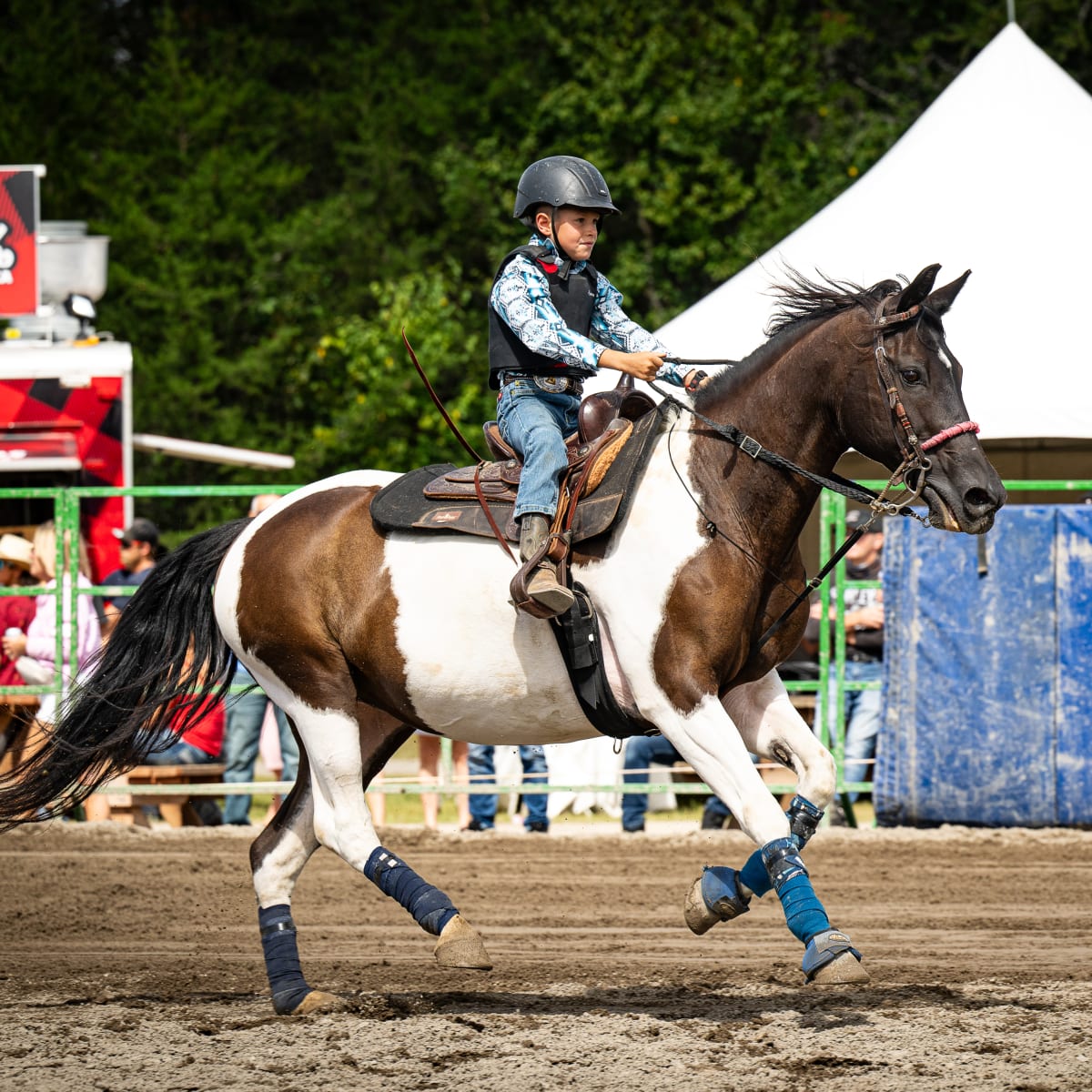 festival_gymkhana_de_falardeau_2