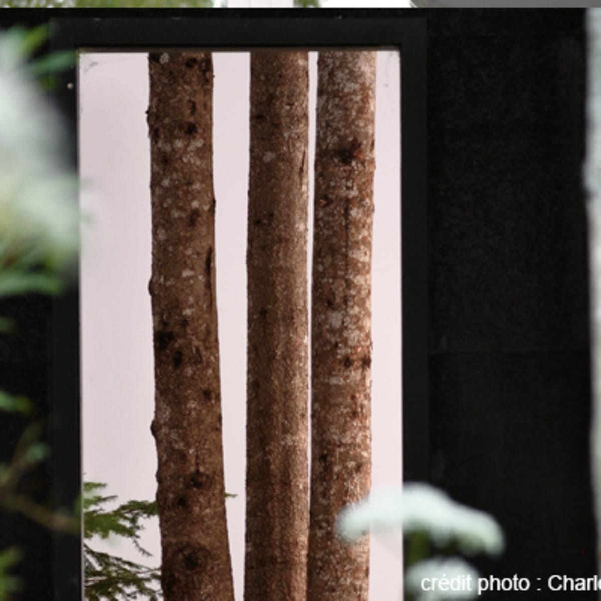 festival_international_de_jardins_2
