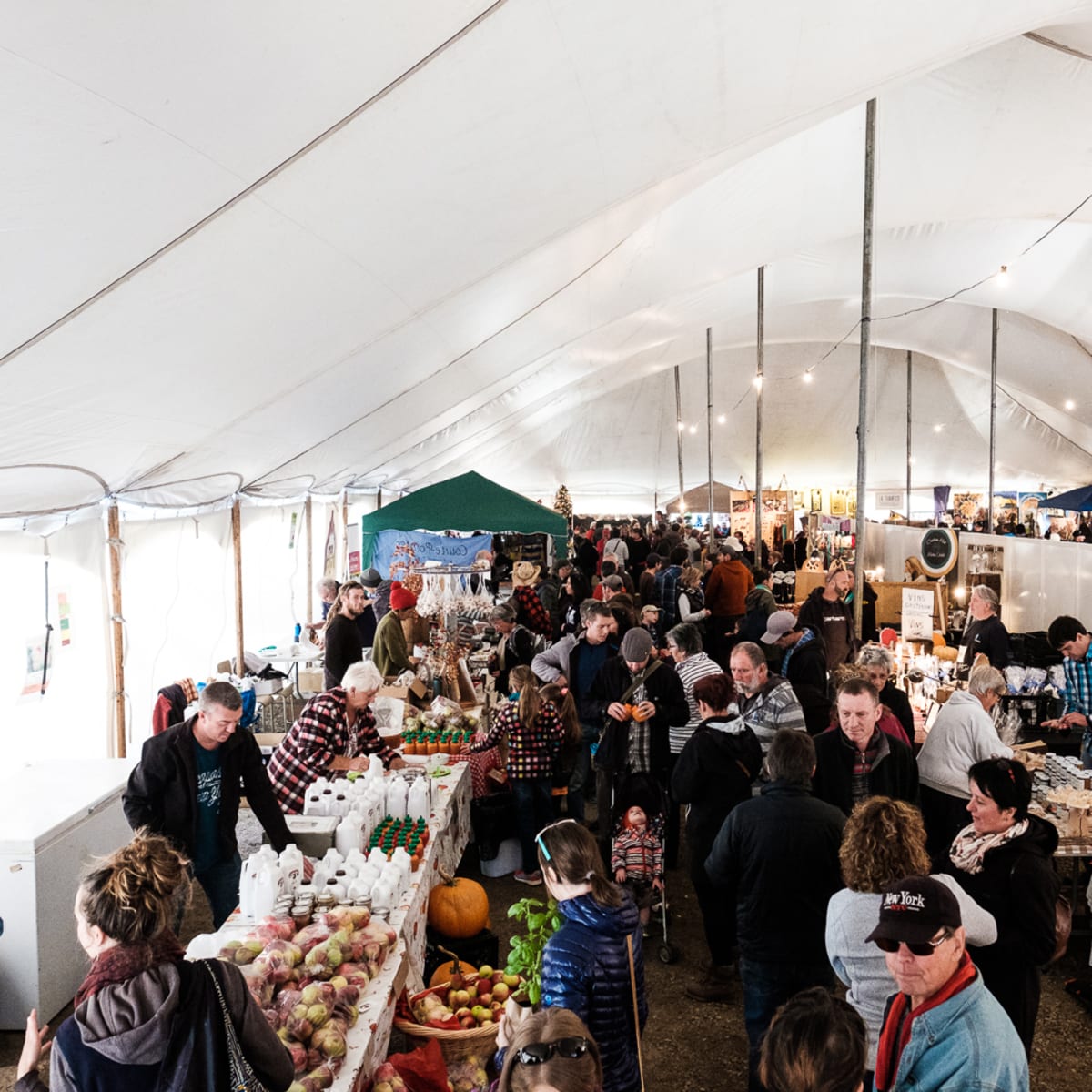 festival_la_viree_4