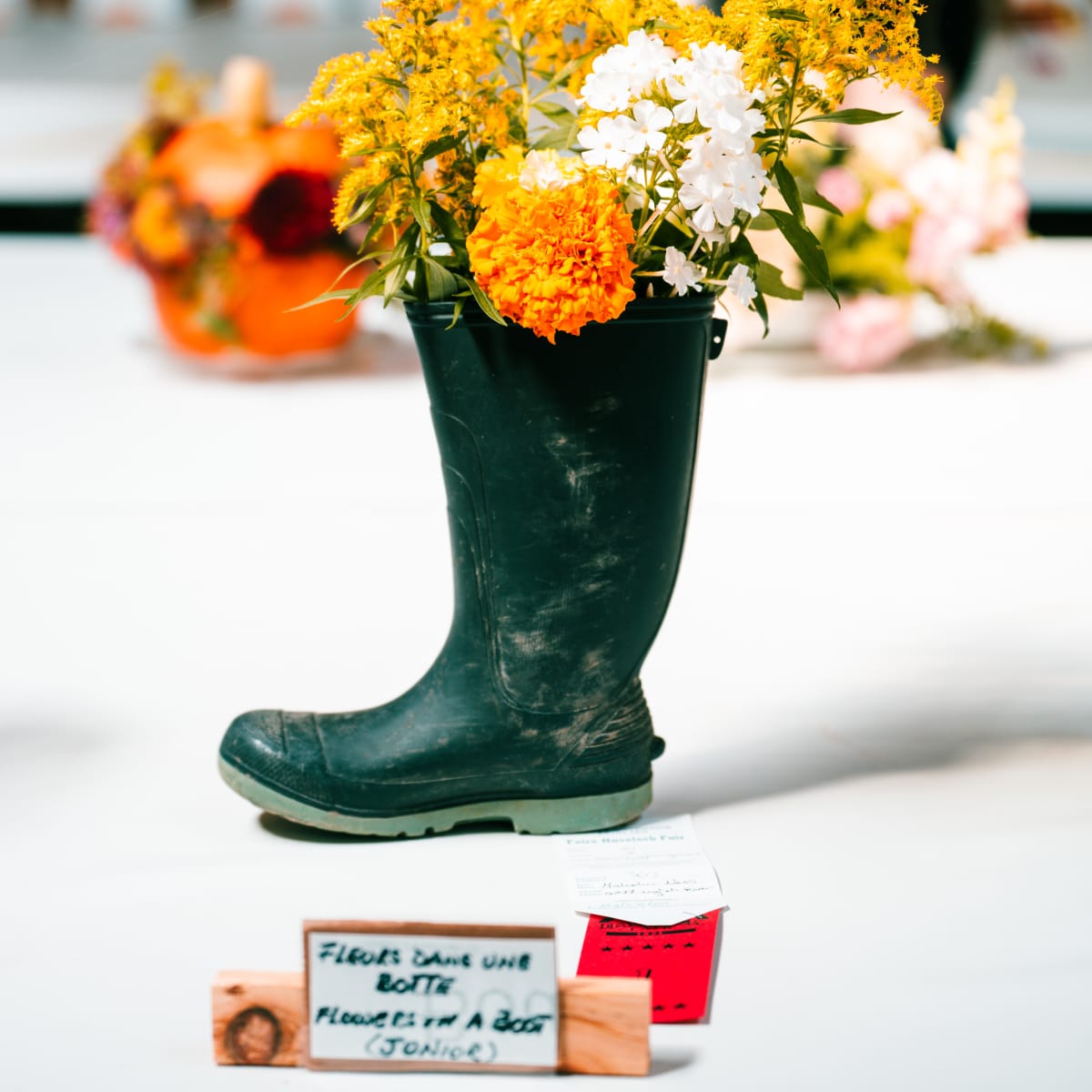 foire_de_havelock_3