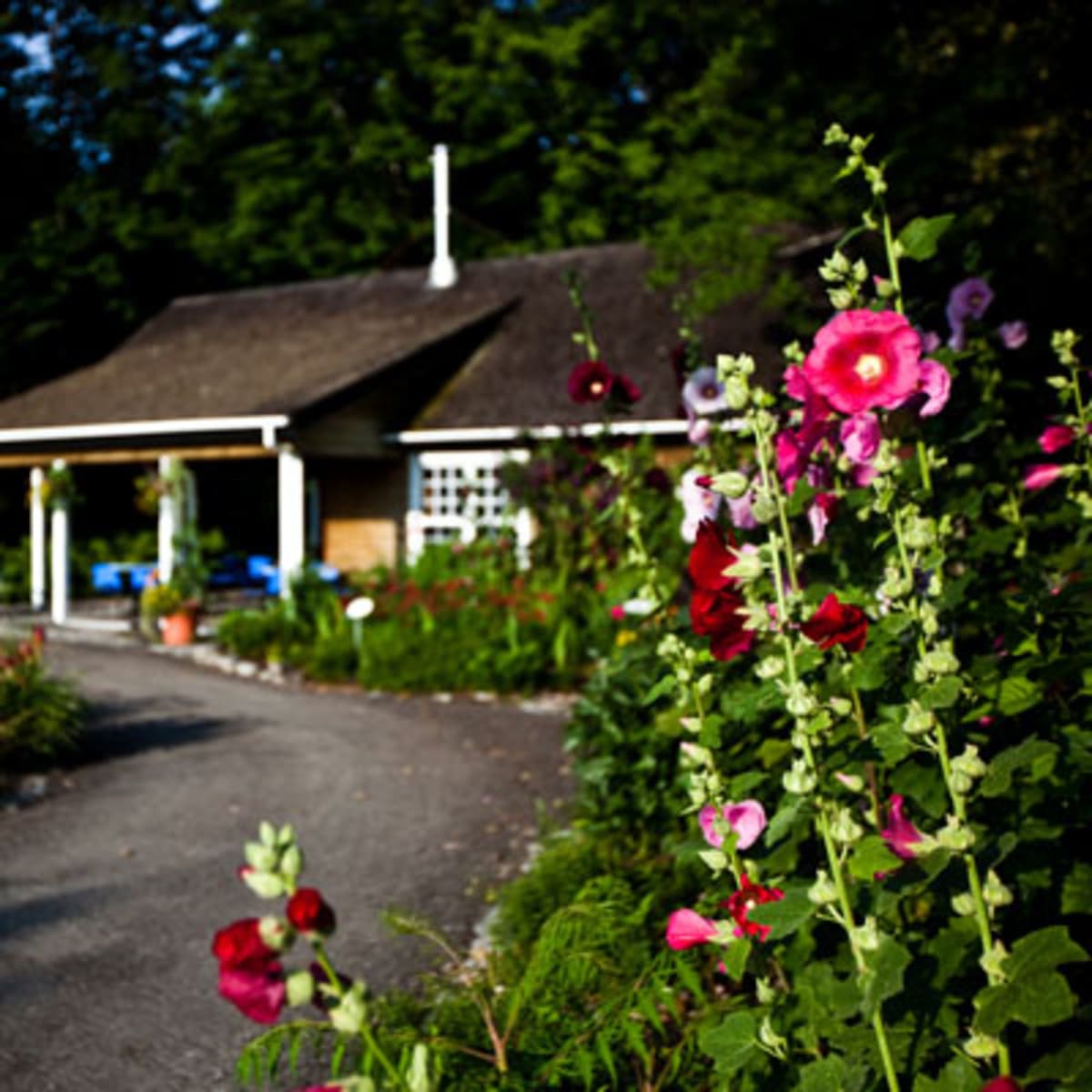 golf_le_grand_vallon_mont_sainte_anne_11