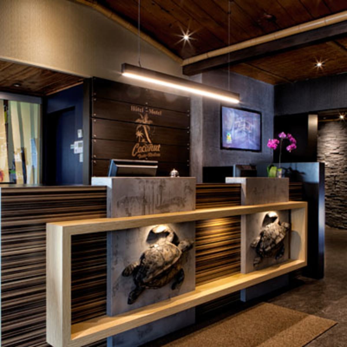 hotel_motel_coconut_17