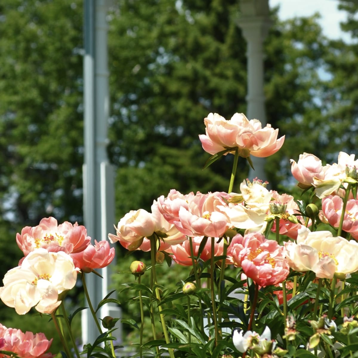 jardins_de_metis_20