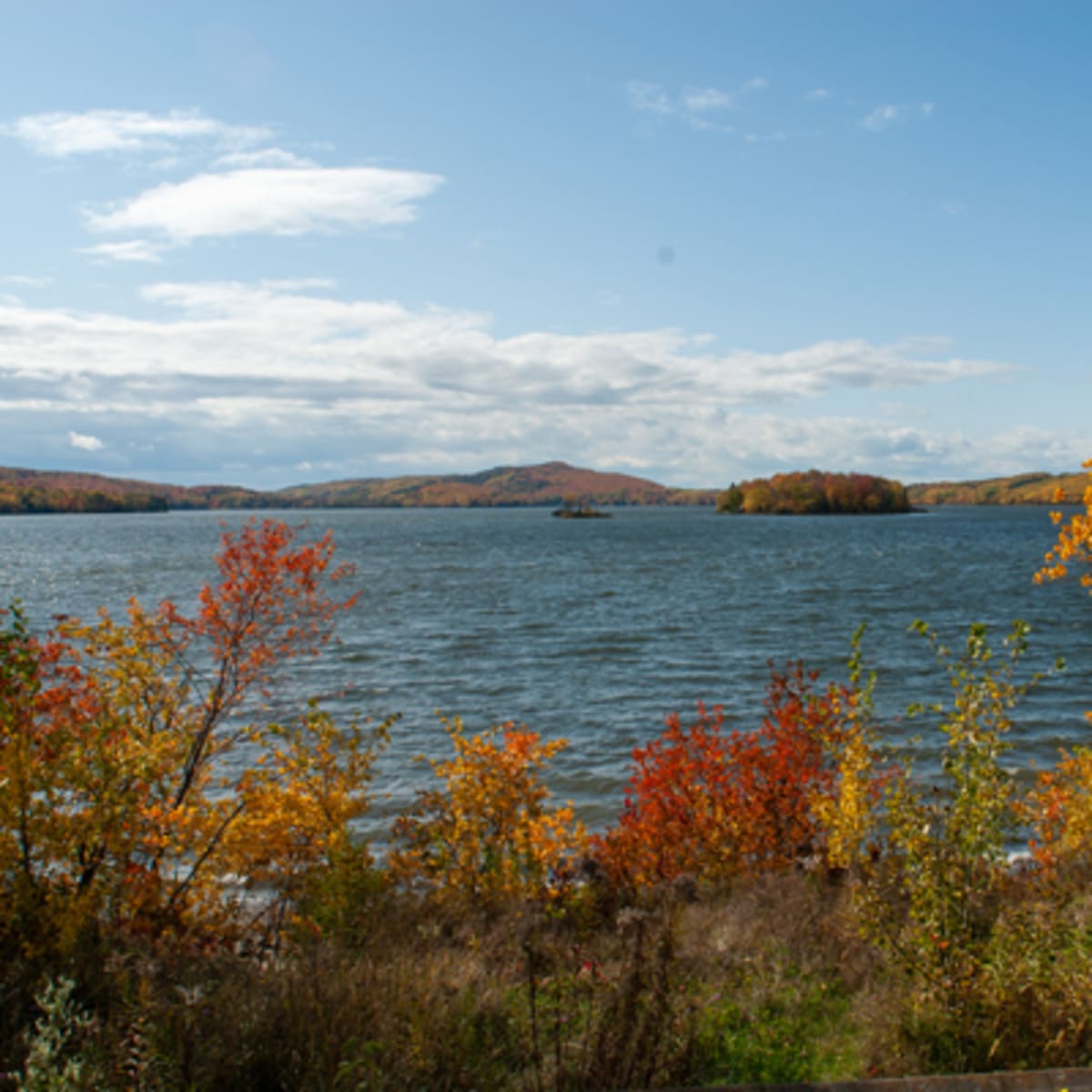 koa_bas_st_laurent_10