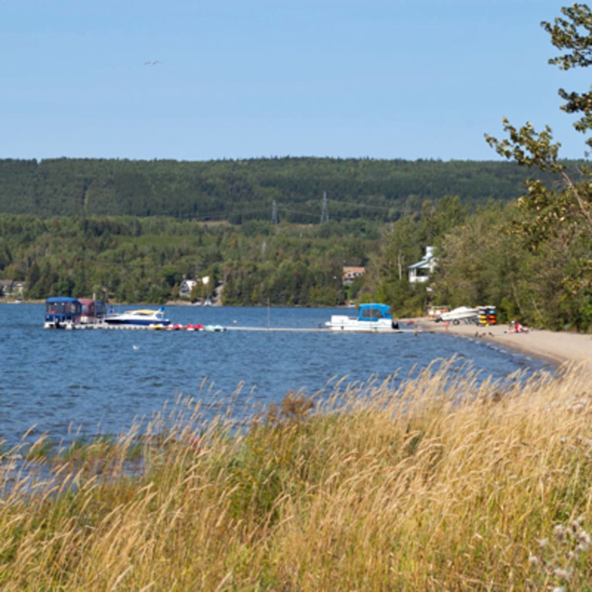 koa_bas_st_laurent_5