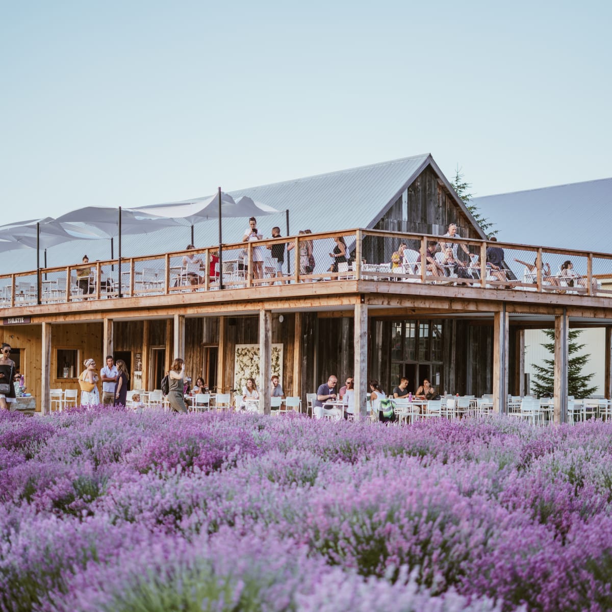 la_maison_lavande_culture_et_parfumerie_19