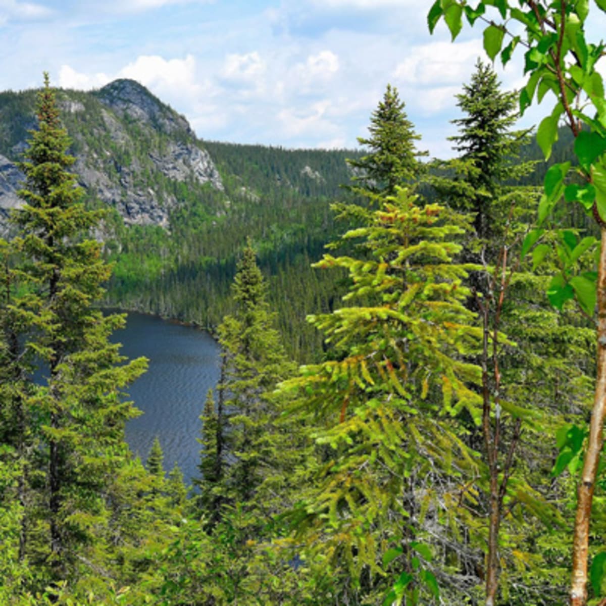 la_traversee_de_charlevoix_1