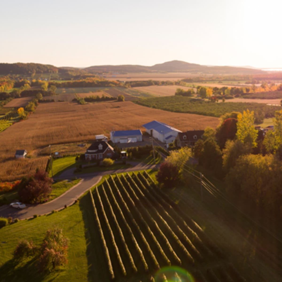 le_chemin_du_terroir_1_a