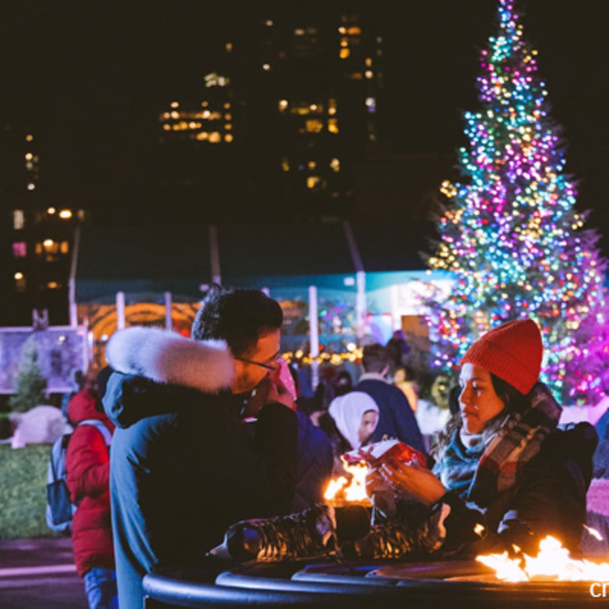 le_grand_marche_de_noel_de_montreal_1