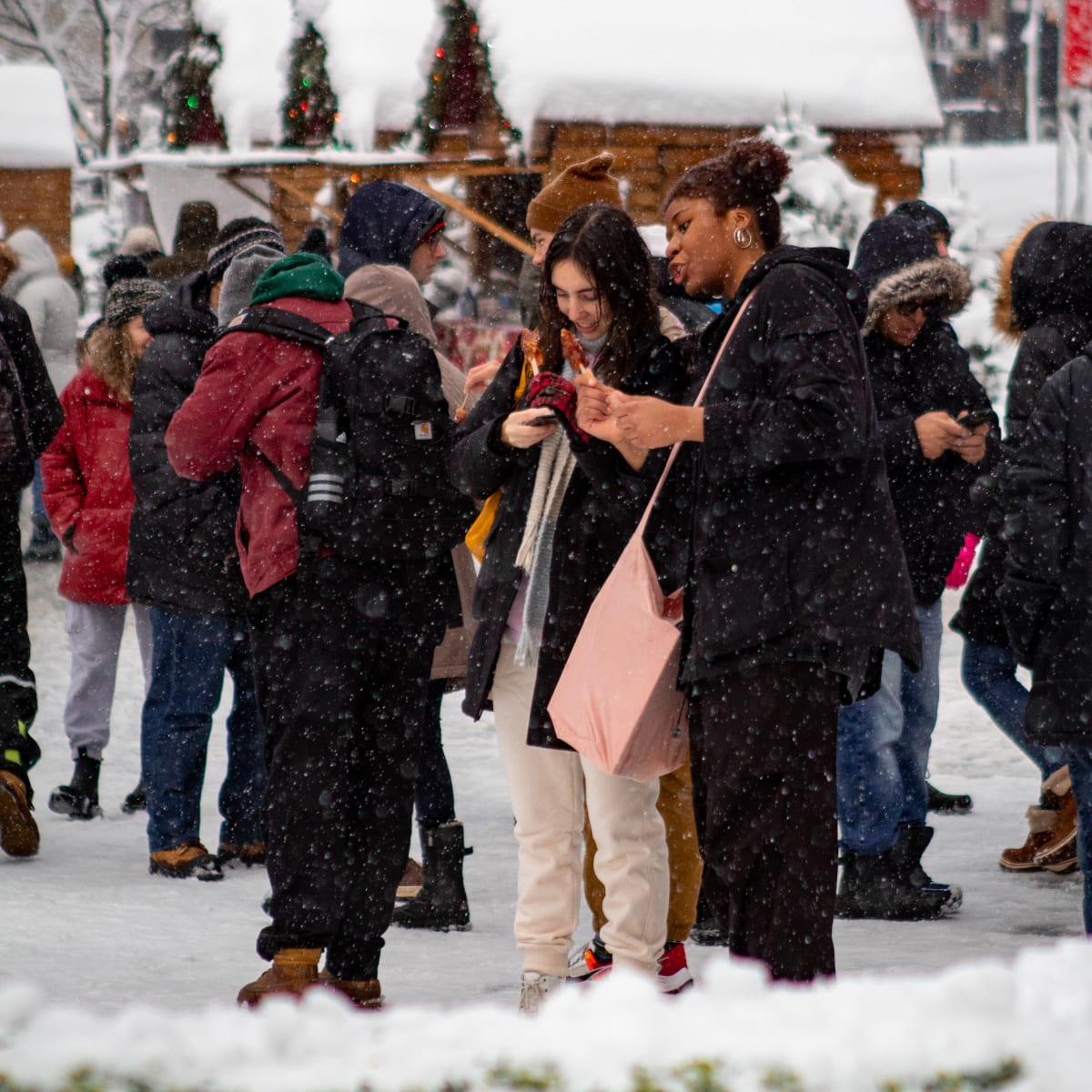 le_grand_marche_de_noel_de_montreal_3