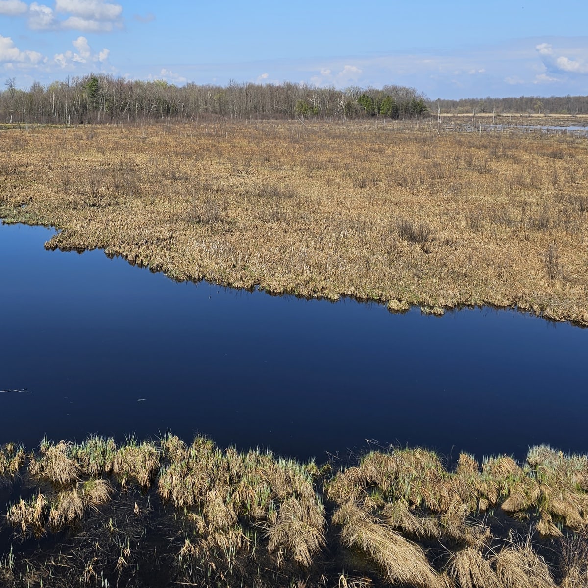 les_amis_de_la_reserve_nationale_de_faune_du_lac_saint_francois_1