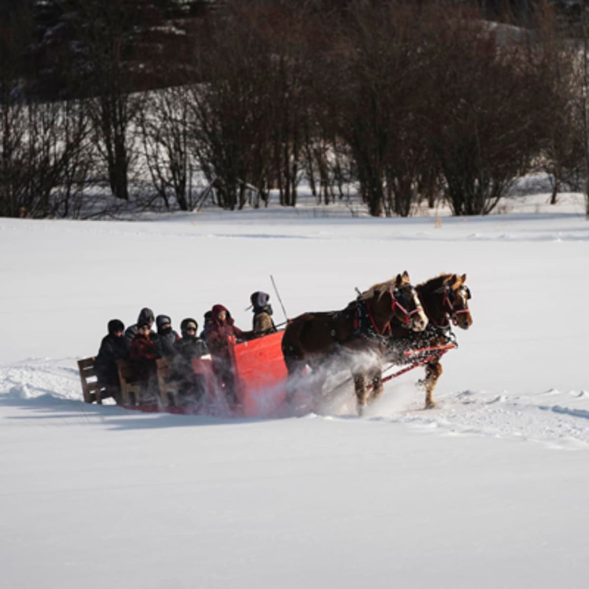 les_montagnards_de_charlevoix_1_h