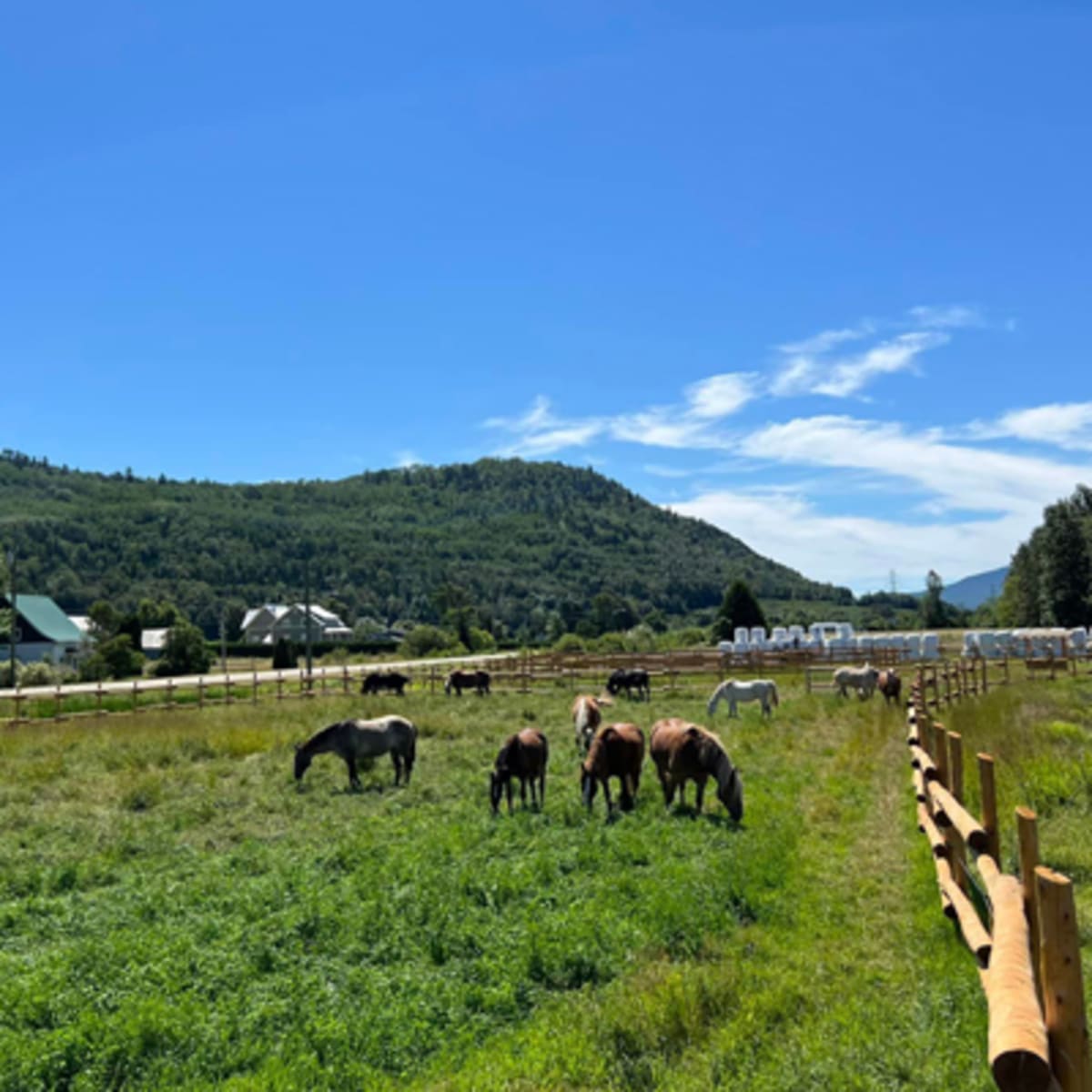 les_montagnards_de_charlevoix_3