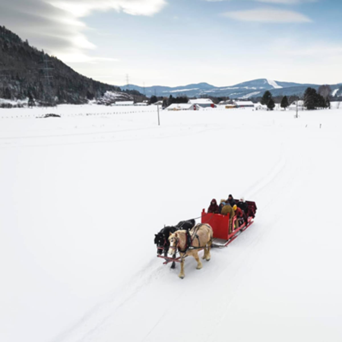 les_montagnards_de_charlevoix_3_h