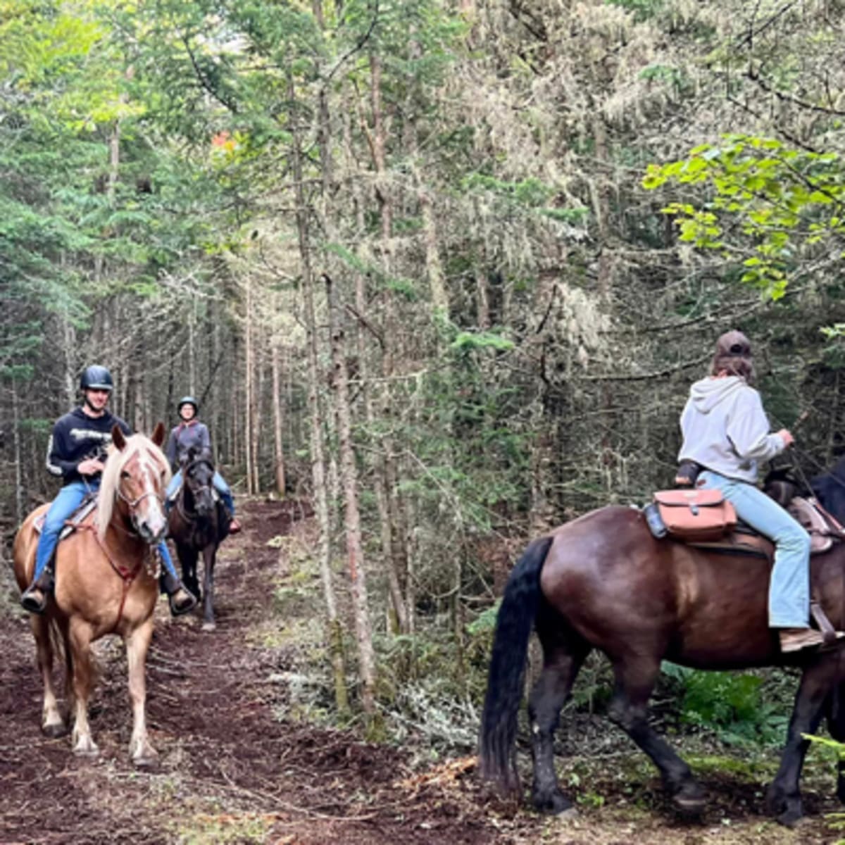 les_montagnards_de_charlevoix_5
