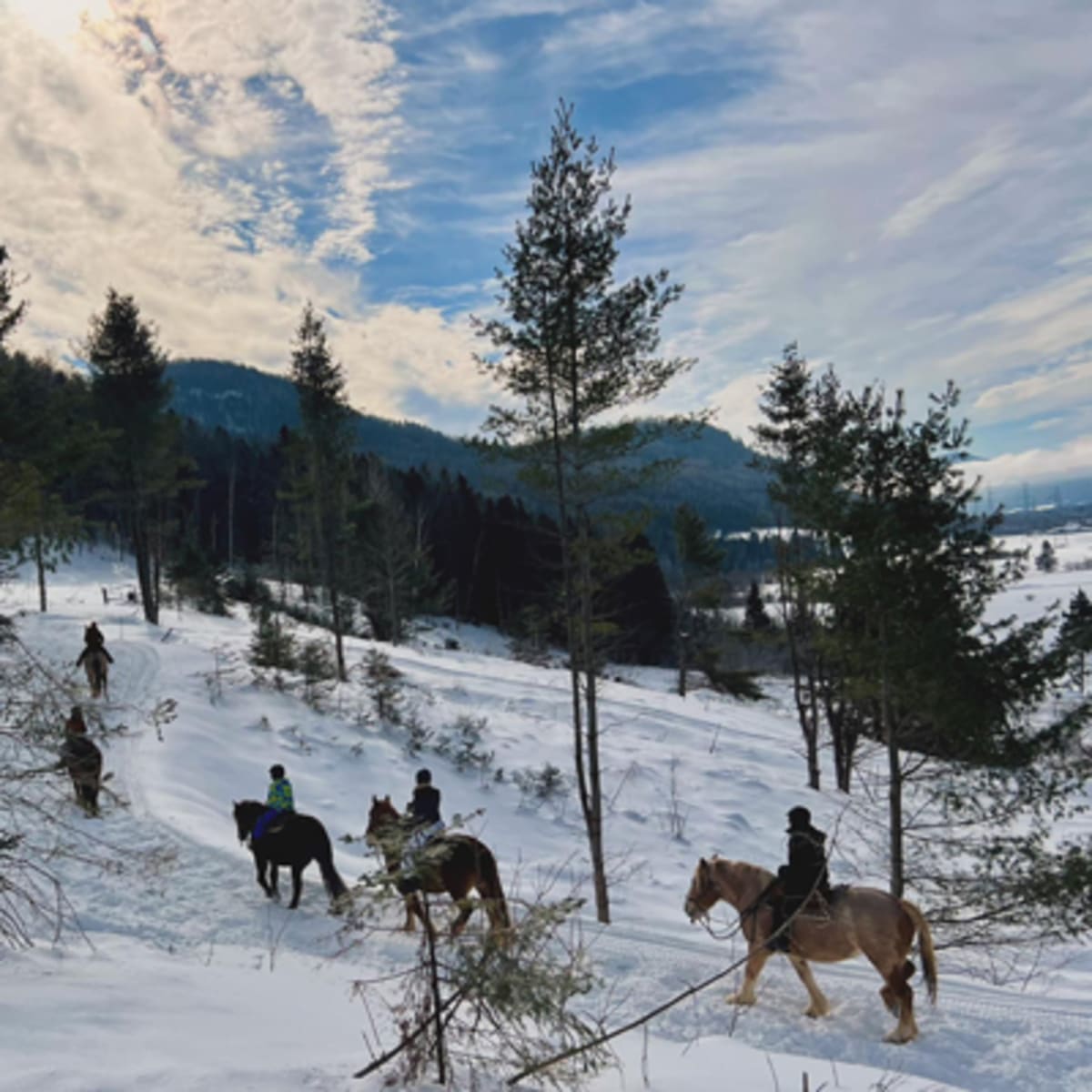 les_montagnards_de_charlevoix_5_h