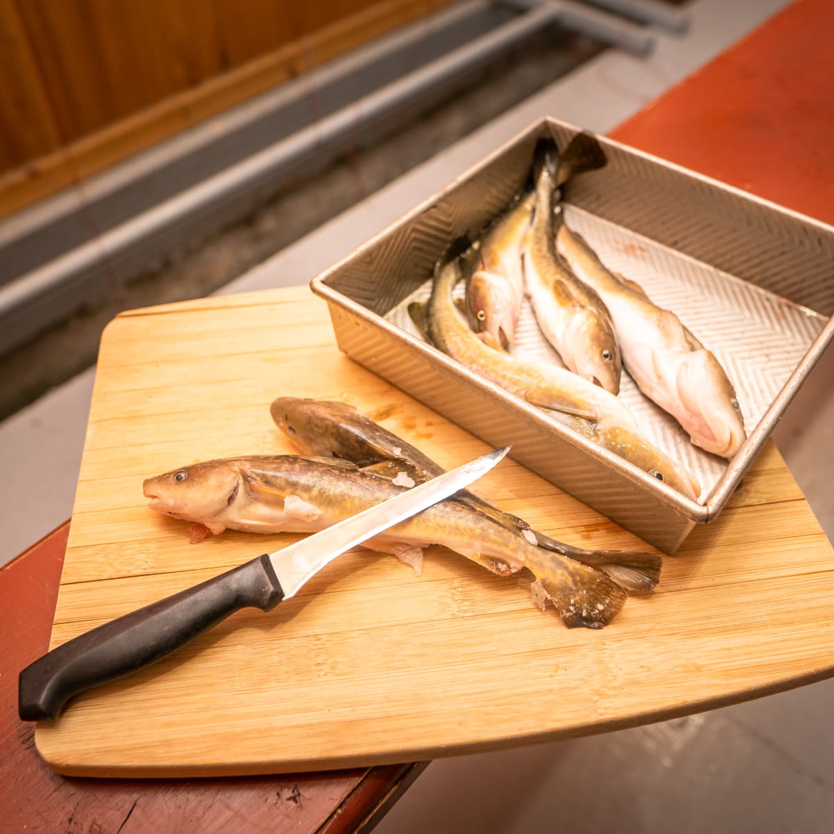 les_petits_poissons_des_chenaux_13_h