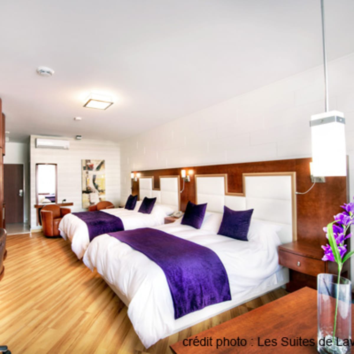 les_suites_de_laviolette_4