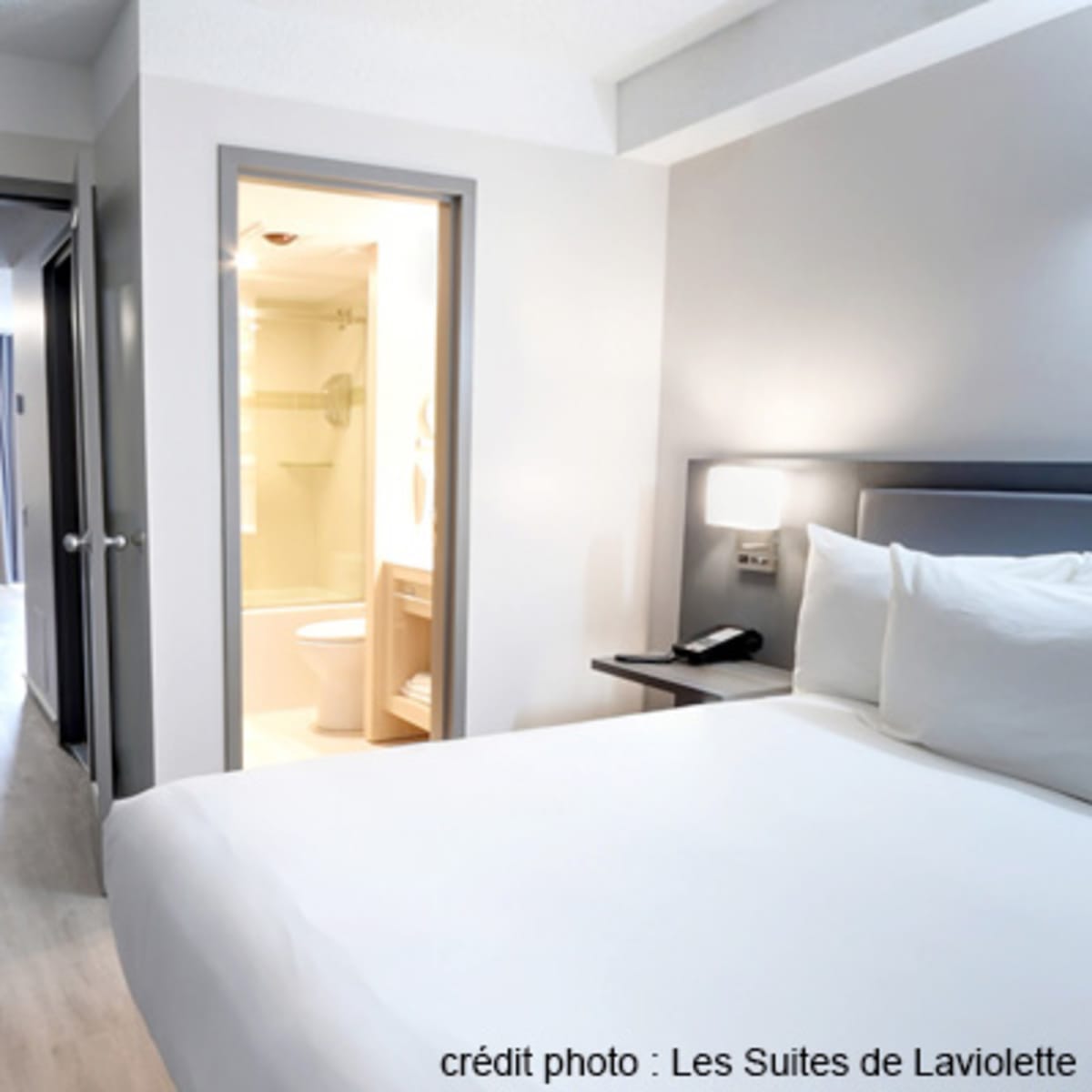 les_suites_de_laviolette_7