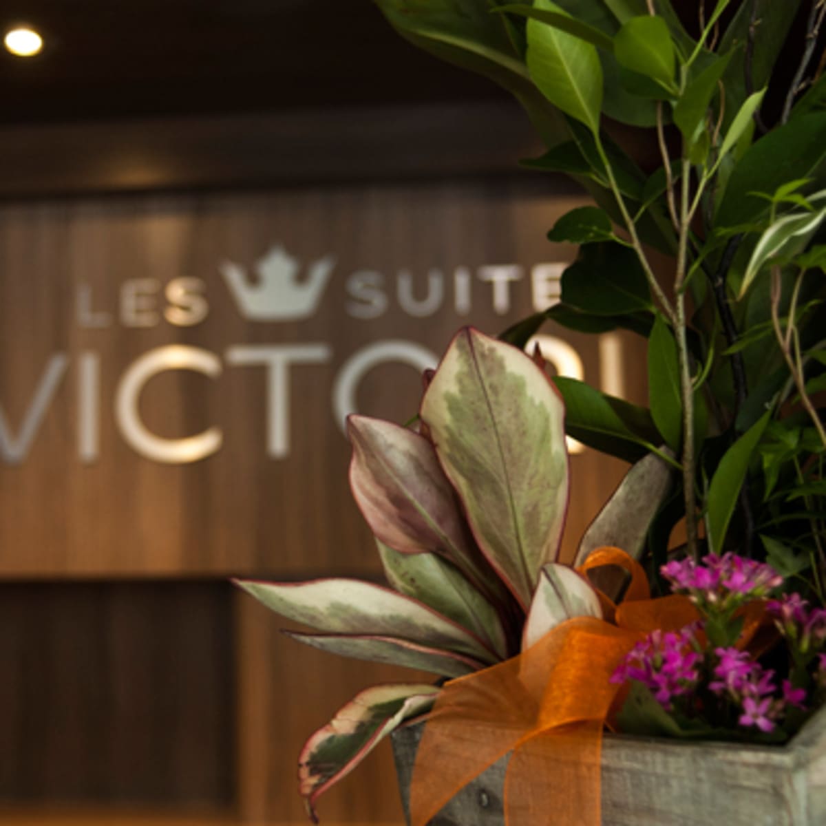 les_suites_victoria_2