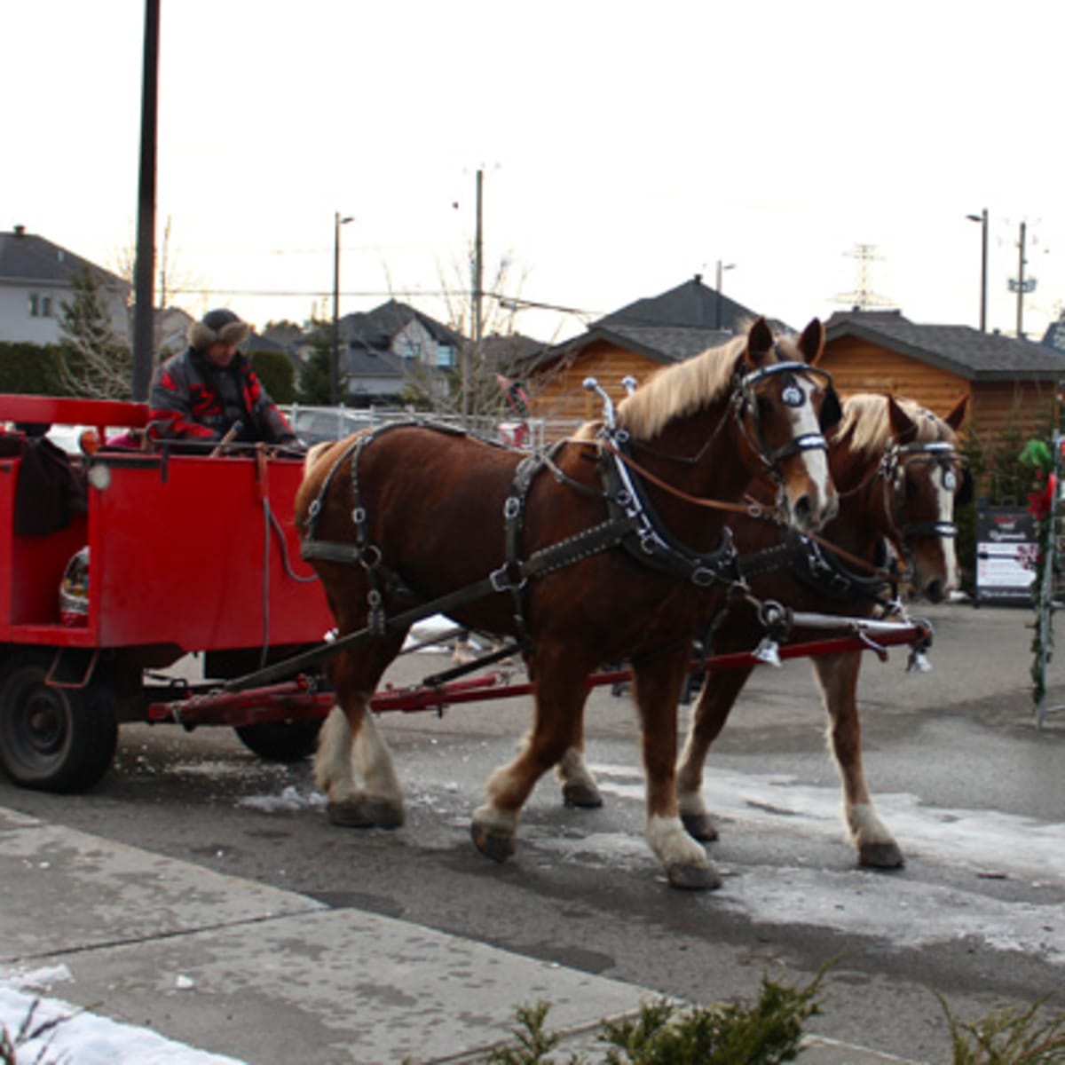 marche_de_noel_de_mirabel_18_h