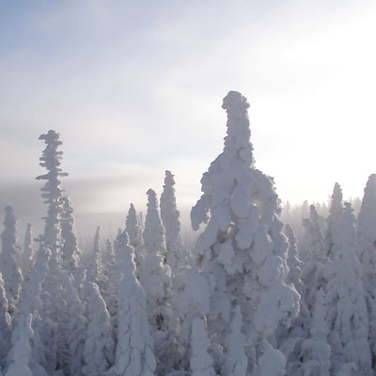 massif_du_sud_19