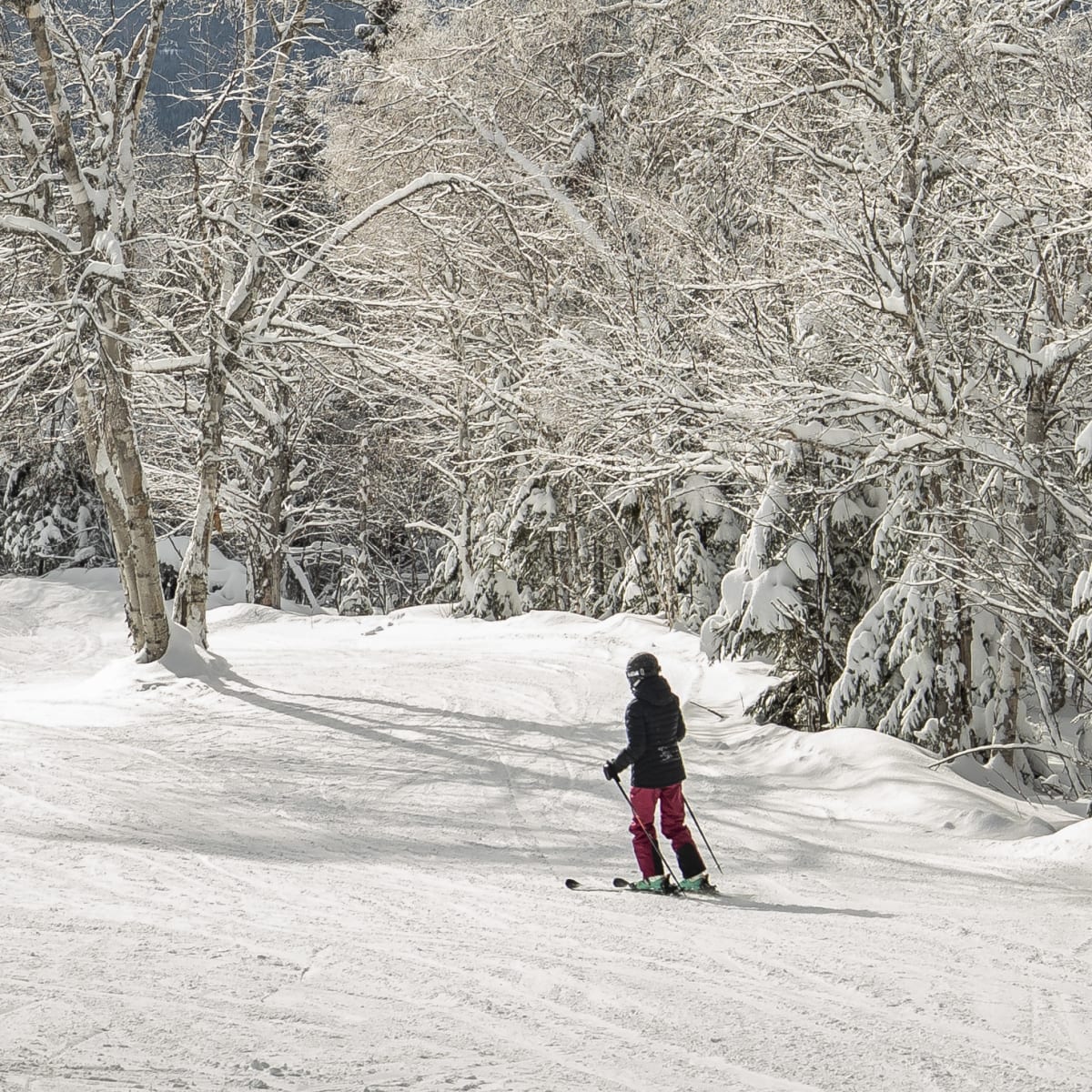 mont_grand_fonds_4_h